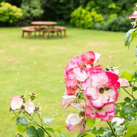 Beechwood Close Vendégház